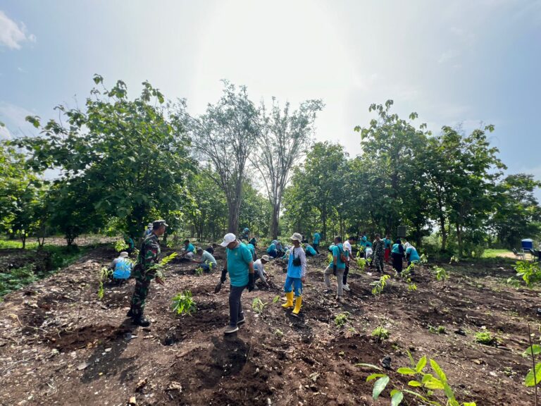 Perluas Area Hutan, DLH Sumenep dan Medco Tanam 1500 Pohon di TPA Torbang